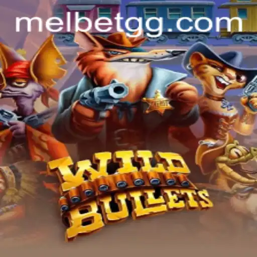 Dive into Adventure with WildBullets